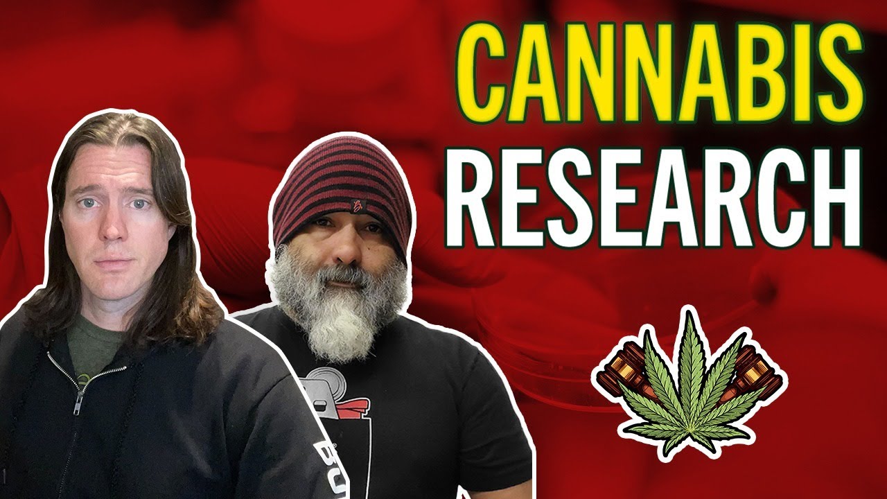 Cannabis Research is Off the Charts | Cannabis Research Exploded in Past Years – Legalization News