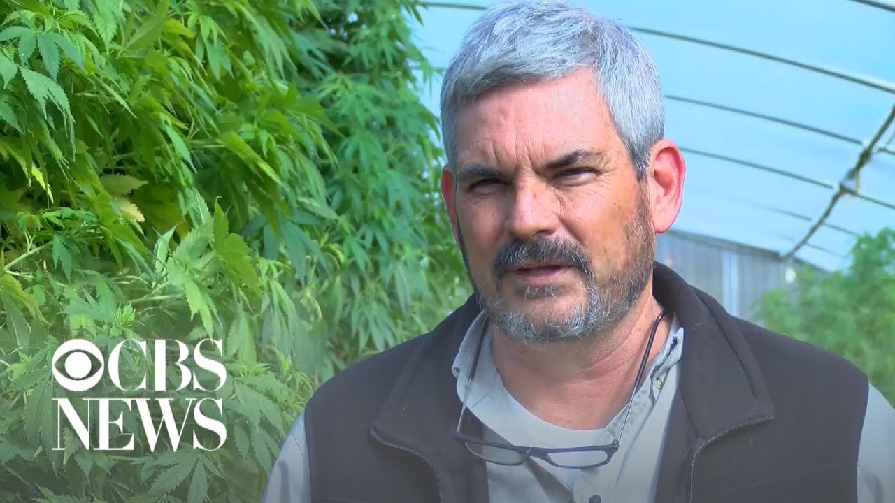 South Carolina hemp farmers face new regulations