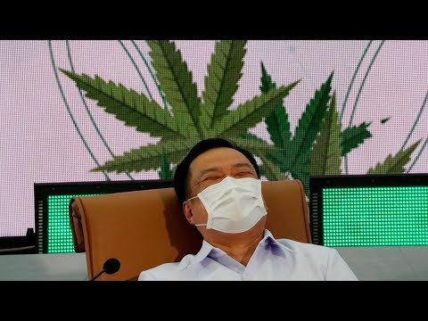 Thailand to Make Cultivating Marijuana Hemp Plants Legal Nationwide – But No Public Consumption