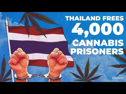 Thailand’s Cannabis Turn Around, Texas GOP’s Drug Policy, & New Study On Cannabis-Road Safety