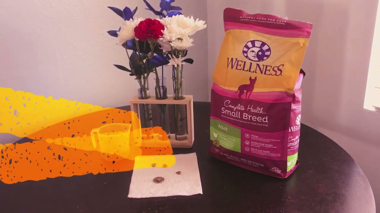 Wellness Complete Health Small Breed Dry Dog Food with Grains, Made in USA Wife Reviews