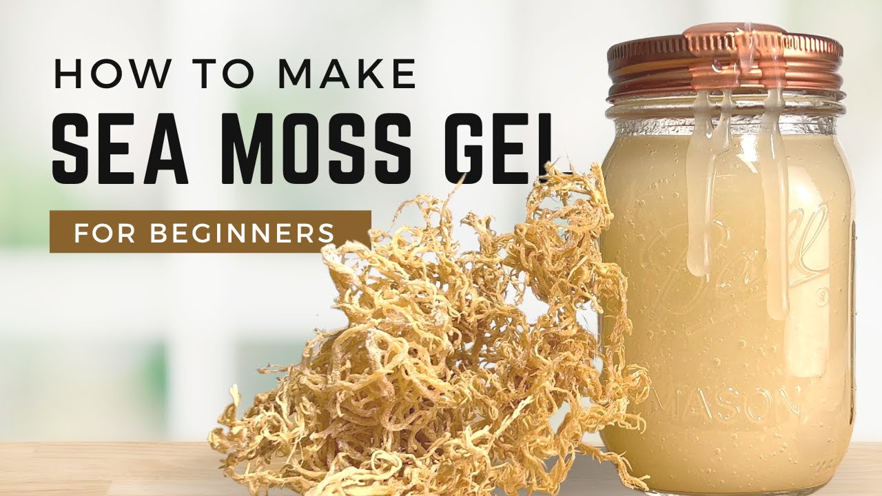 How to Make SEA MOSS GEL | DRINK THIS EVERYDAY for Health, Skin, & Hair.