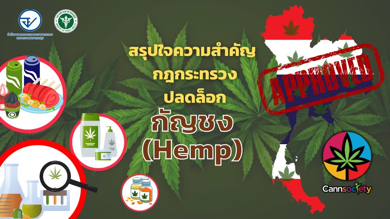 Cann Society『INFO』 – สรุปใจความสำคัญกฎกระทรวงปลดล็อกกัญชง (Hemp)