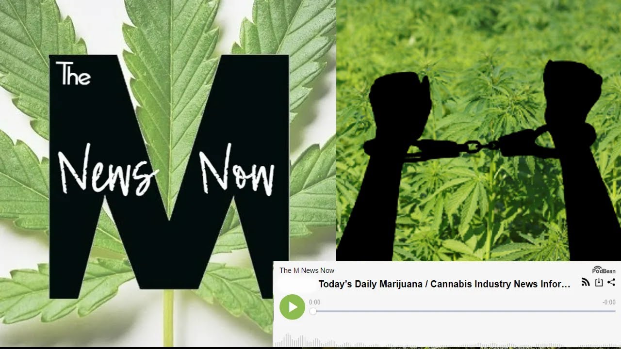 8/4/2022 Today’s Marijuana Cannabis Industry News – Brittney Griner & American Cannabis Prisoners