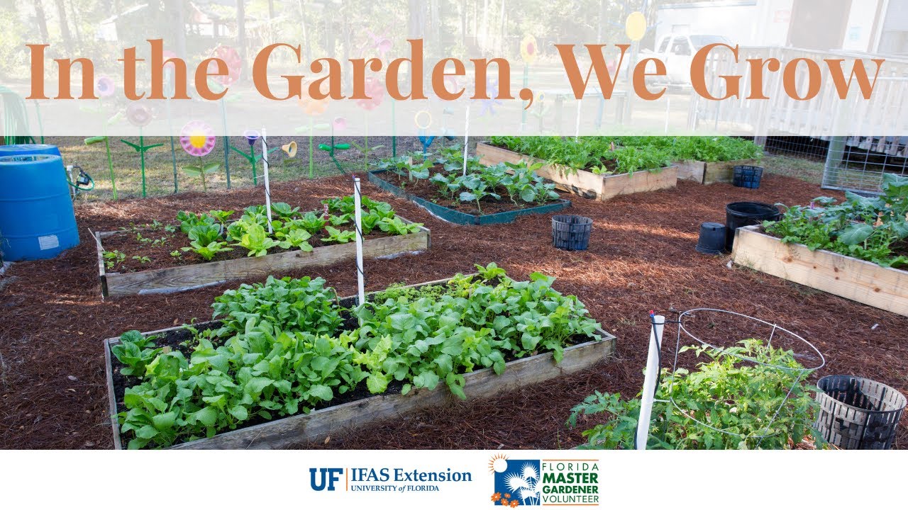 Webinar: In the Garden, We Grow