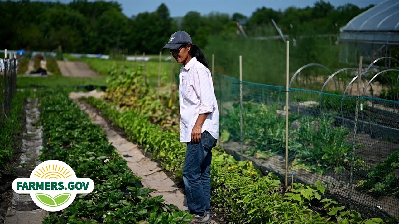 Promoting Health and Wellness at Purple Skies Farm