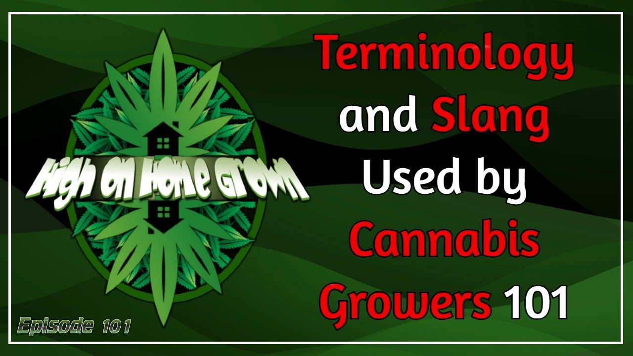 Terminology and Slang Used by Cannabis Growers 101, Cannabis News and Listener Mail