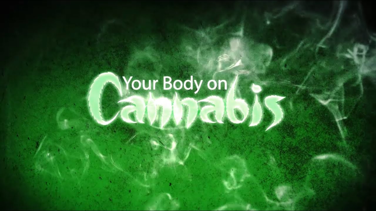 Your Body on Cannabis (Documentary)