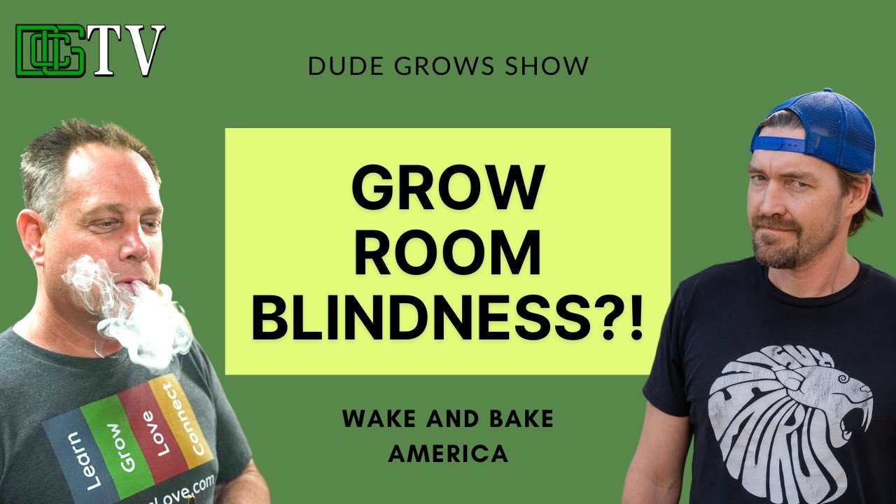 Cornhole vs Boxing vs Football & Grow Room Blindness