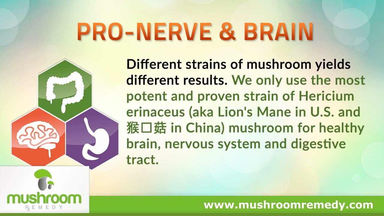 Mushroom Remedy | Pro Nerve Brain