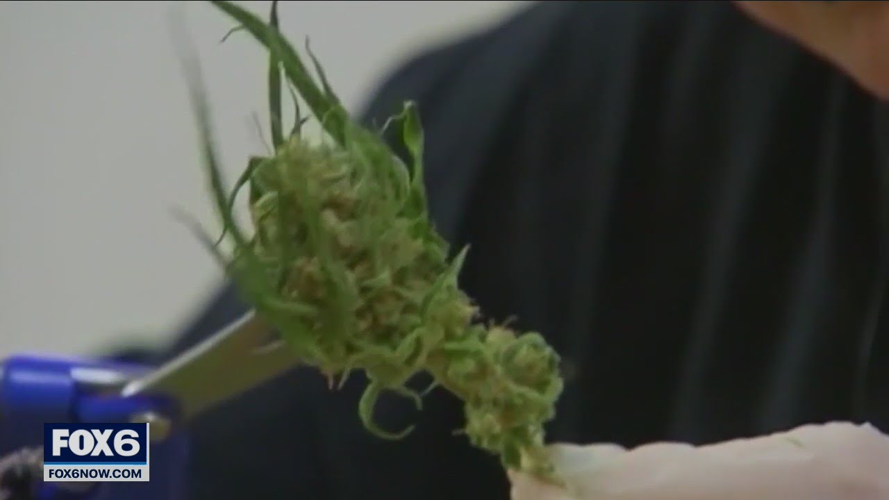 Wisconsin medical marijuana legalization debated at hearing | FOX6 News Milwaukee