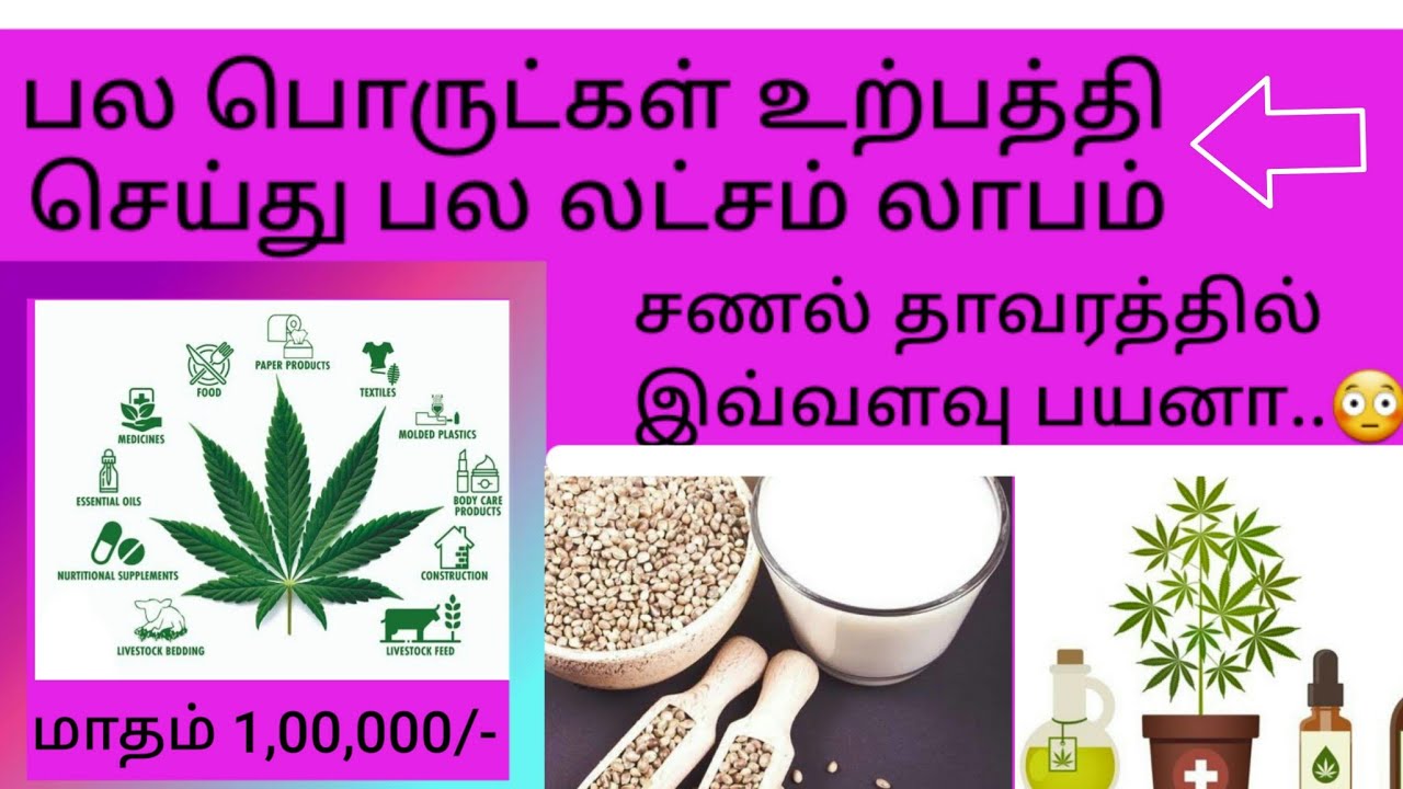 Hemp Business Plan Tamil | Small Business Idea In Tamil | Hemp seed, Oil, Milk