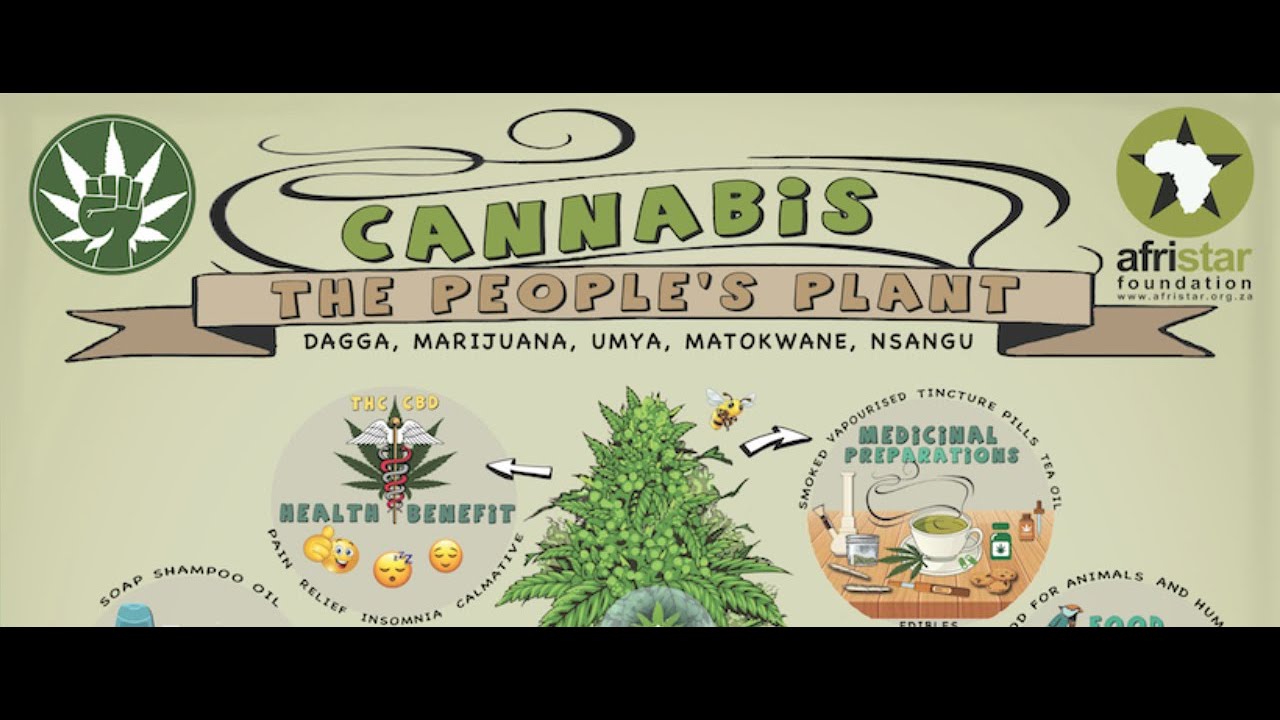 Cannabis "the Peoples Plant" Documentary