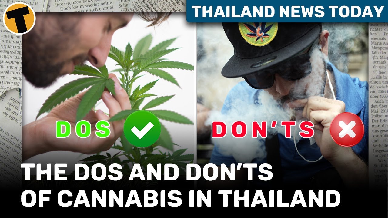 Thailand News Today | Thai cannabis regulations – What you can and can’t do