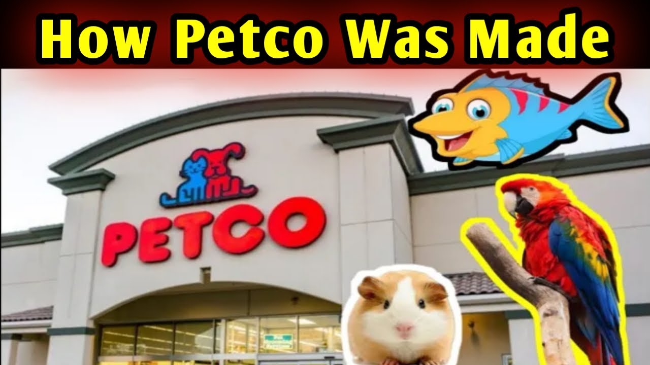 How Petco was made? | Pets Mart | Petsmart USA – RTS Discovery