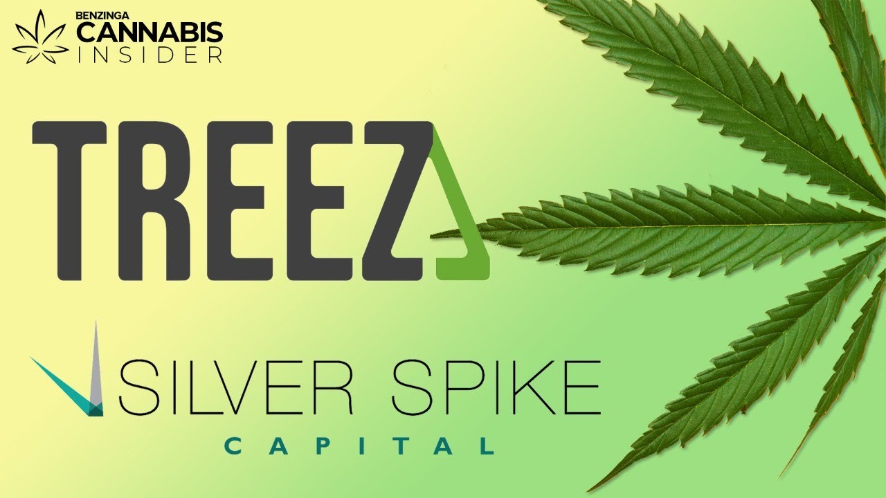 Accelerating The Growth of Global Cannabis | Benzinga Cannabis Insider