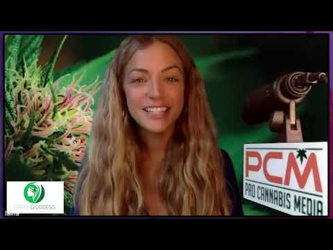 Weed Talk News