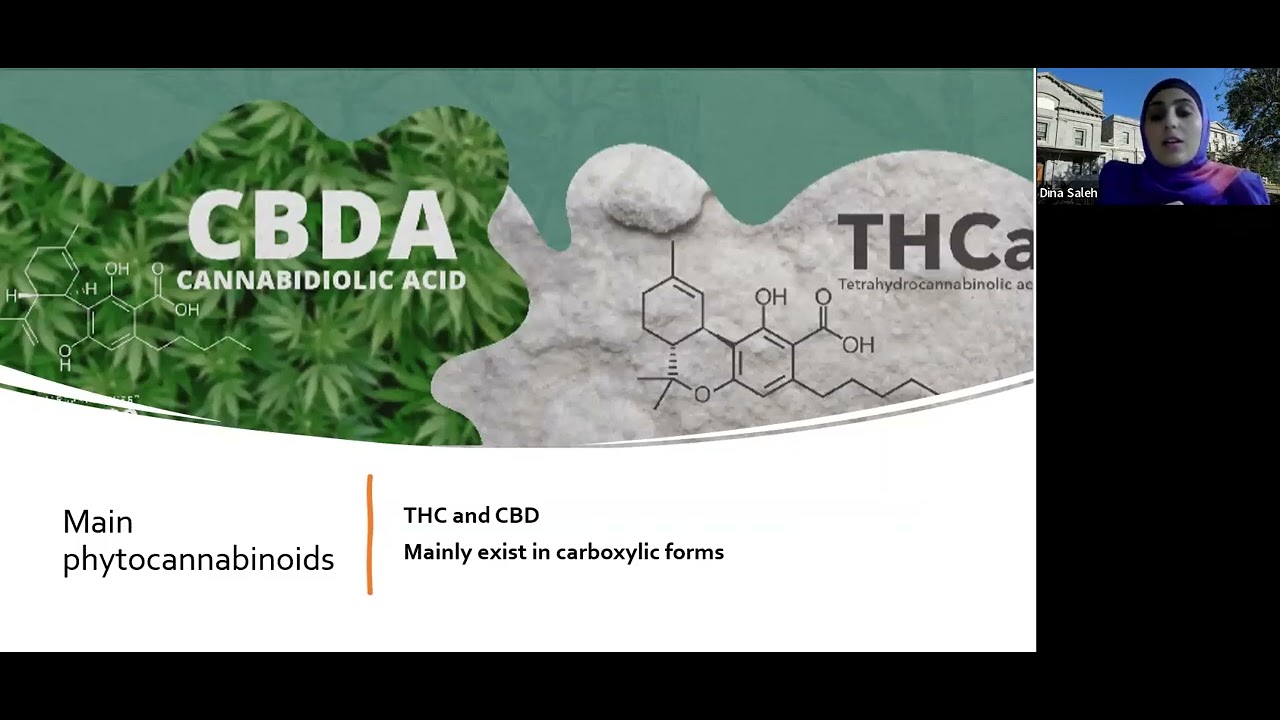 Effects of Temperature and Irrigation on Cannabinoid Composition & Yield