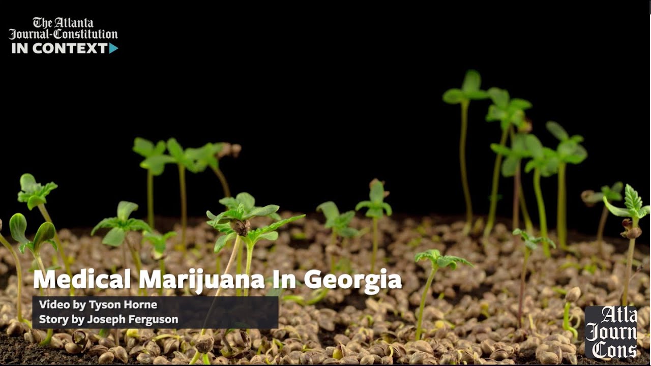 Medical Marijuana In Georgia, In Context.