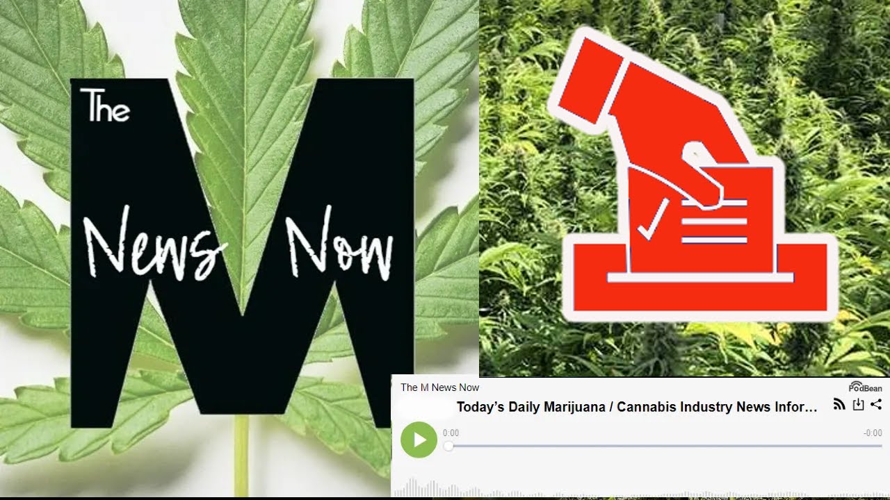 10/24/2022 Today’s Marijuana and Cannabis Industry News – Cannabis Worker Death, State Voting Info