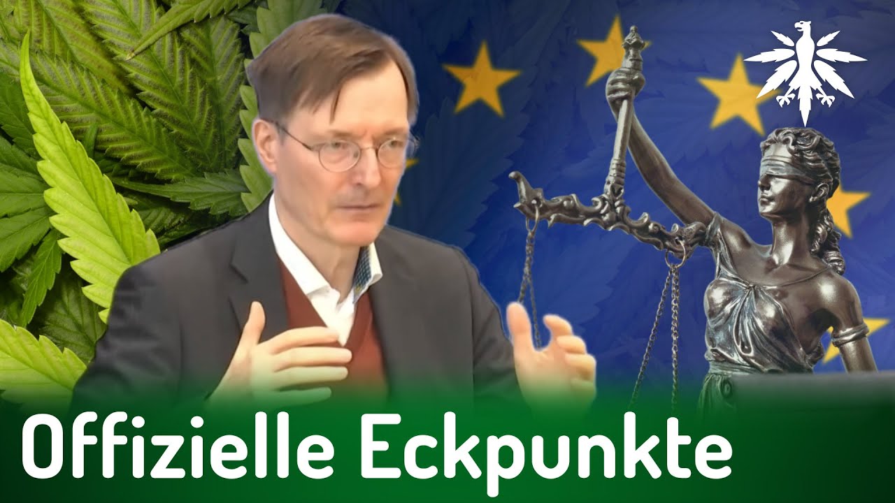 Offizielle Eckpunkte & #LiberaleLappen | DHV-News # 355