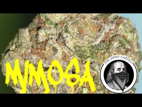 The Hemp Cartels , Mimosa THCa ⛽ #thca #hemp #cbd #review #cannabis