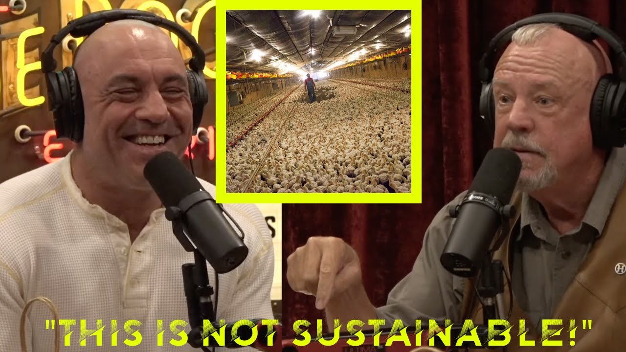 Joe Rogan: Exposes The Factory Farming Industry & There Extreme Pollution!