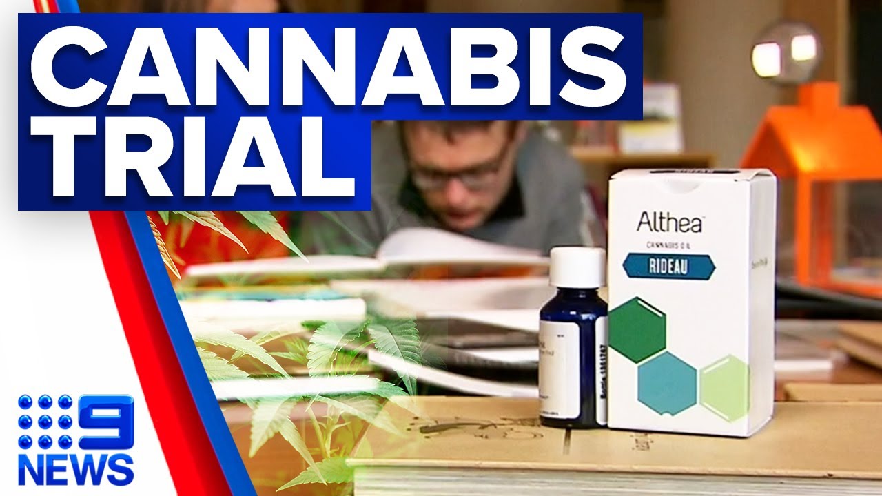 Medicinal cannabis trial showing promising results in children with autism | 9 News Australia