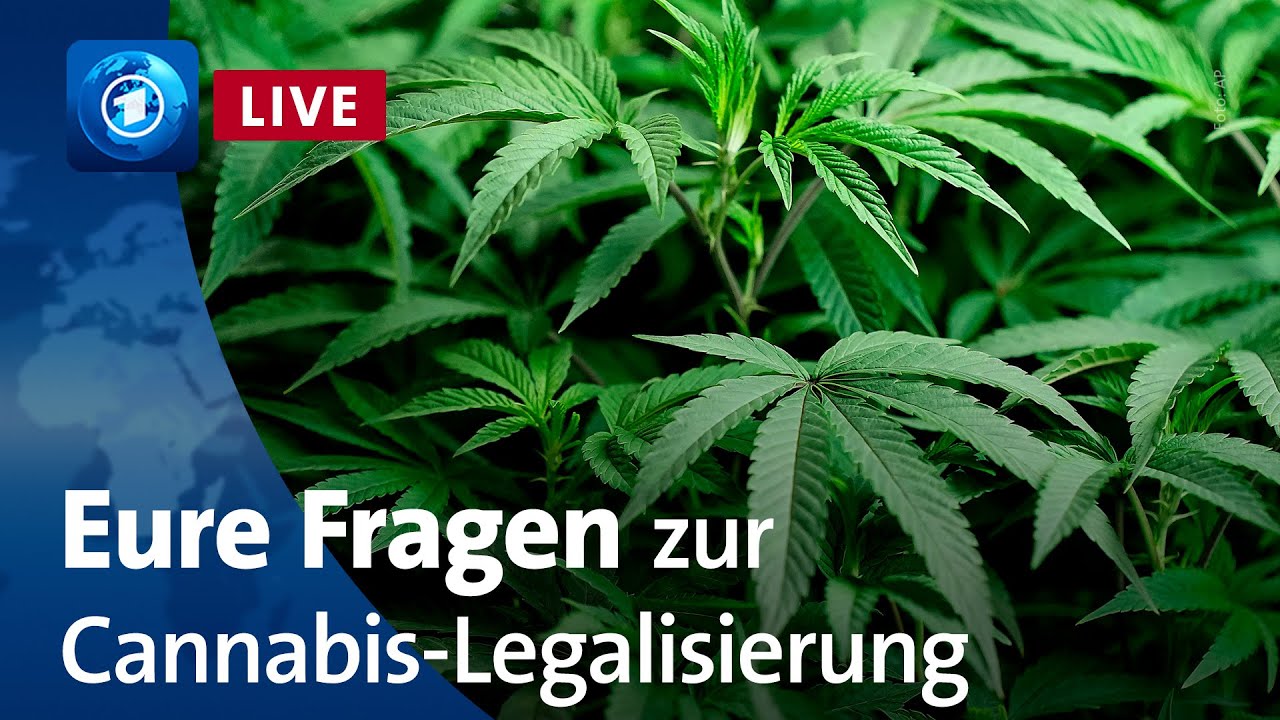 Bericht aus Berlin extra: Eure Fragen zur Cannabis-Legalisierung