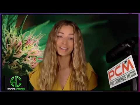 Weed Talk News