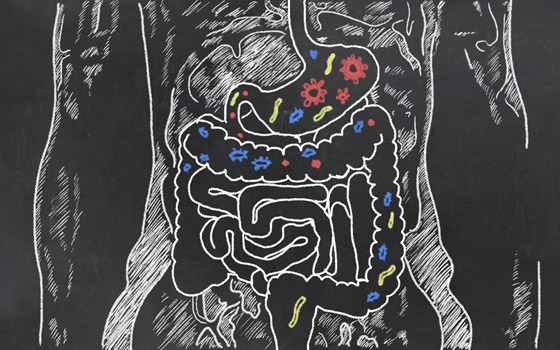 NaturalNewsBlogs Prebiotics vs Probiotics