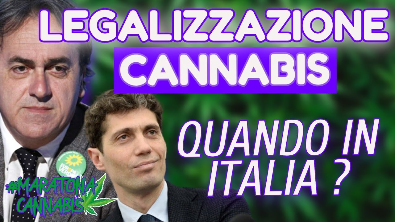 CONFRONTO con ANGELO BONELLI e RICCARDO MAGI su LEGALIZZAZIONE CANNABlS