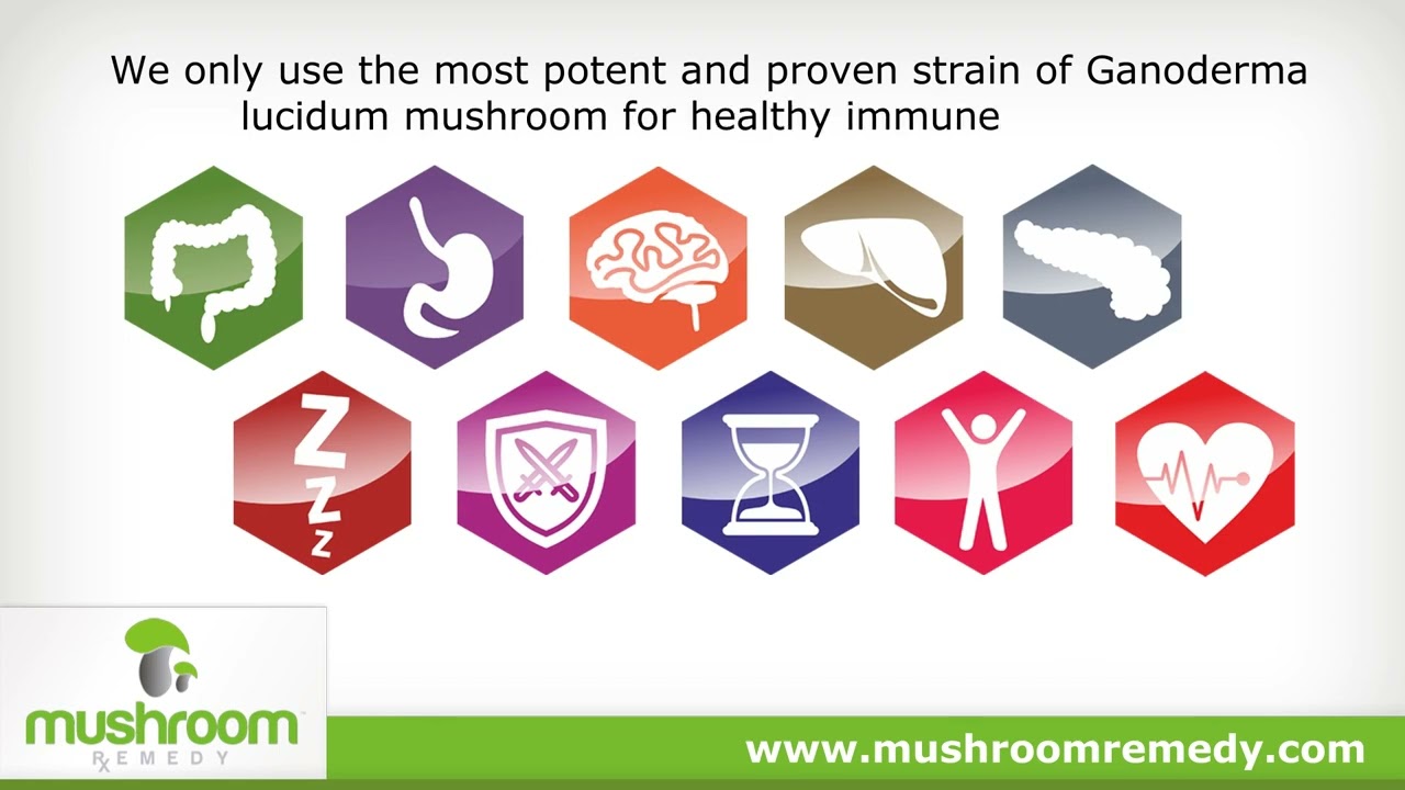 Mushroom Remedy | Pro Nerve Brain