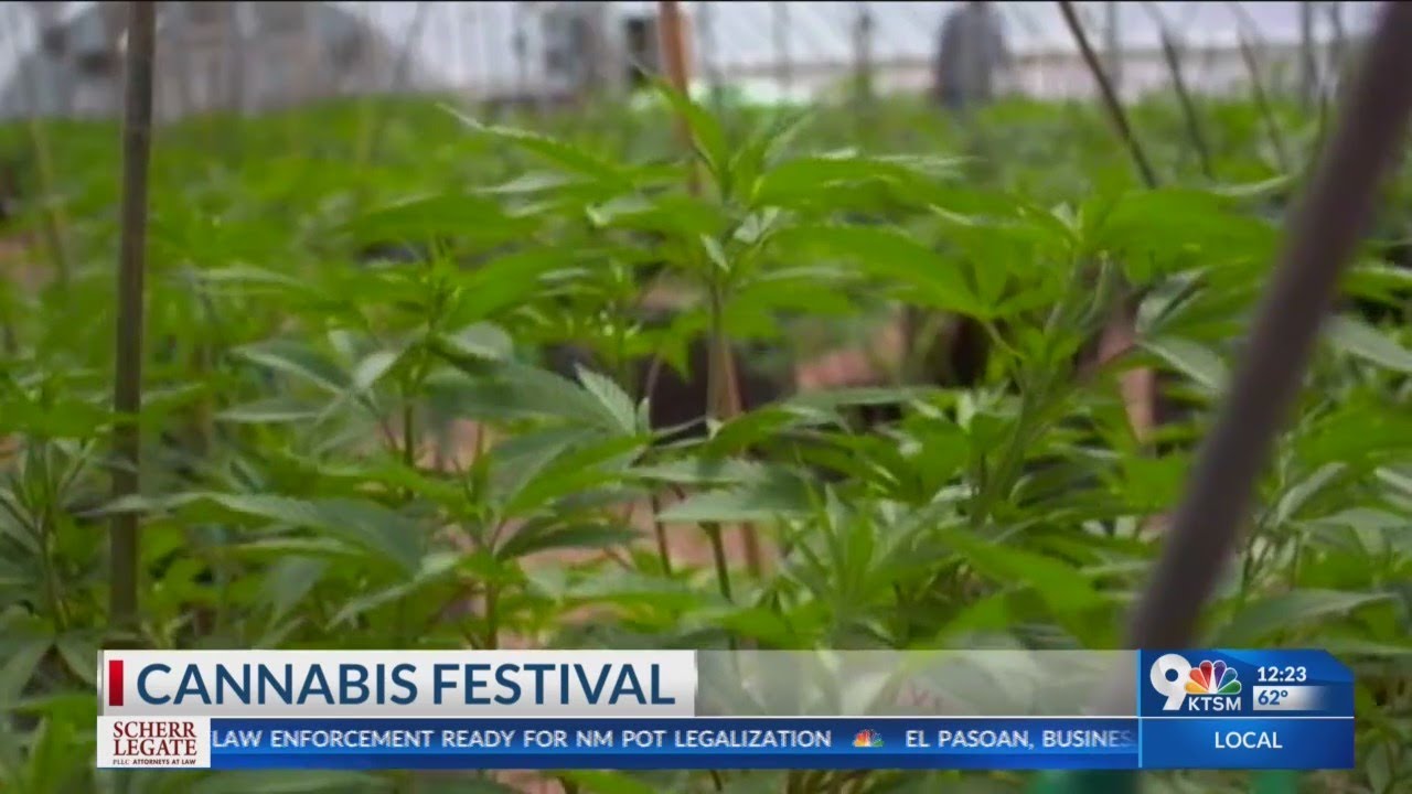 First Hemp and Cannabis Festival set for 4/20 in Las Cruces