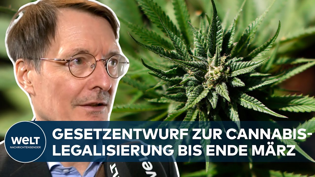 CANNABIS-LEGALISIERUNG – LAUTERBACH: "Es muss ja etwas passieren" – Gesetzentwurf bis Ende März