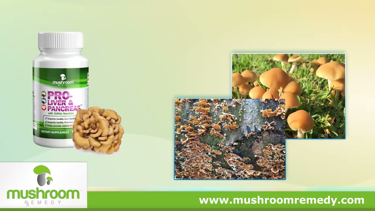 Mushroom Remedy | Health | Liver