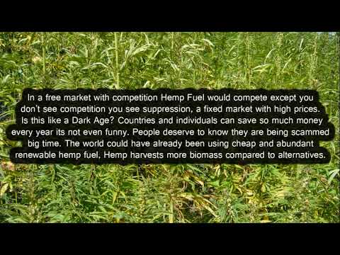 Hemp fuel could have made America Energy Independent by Now