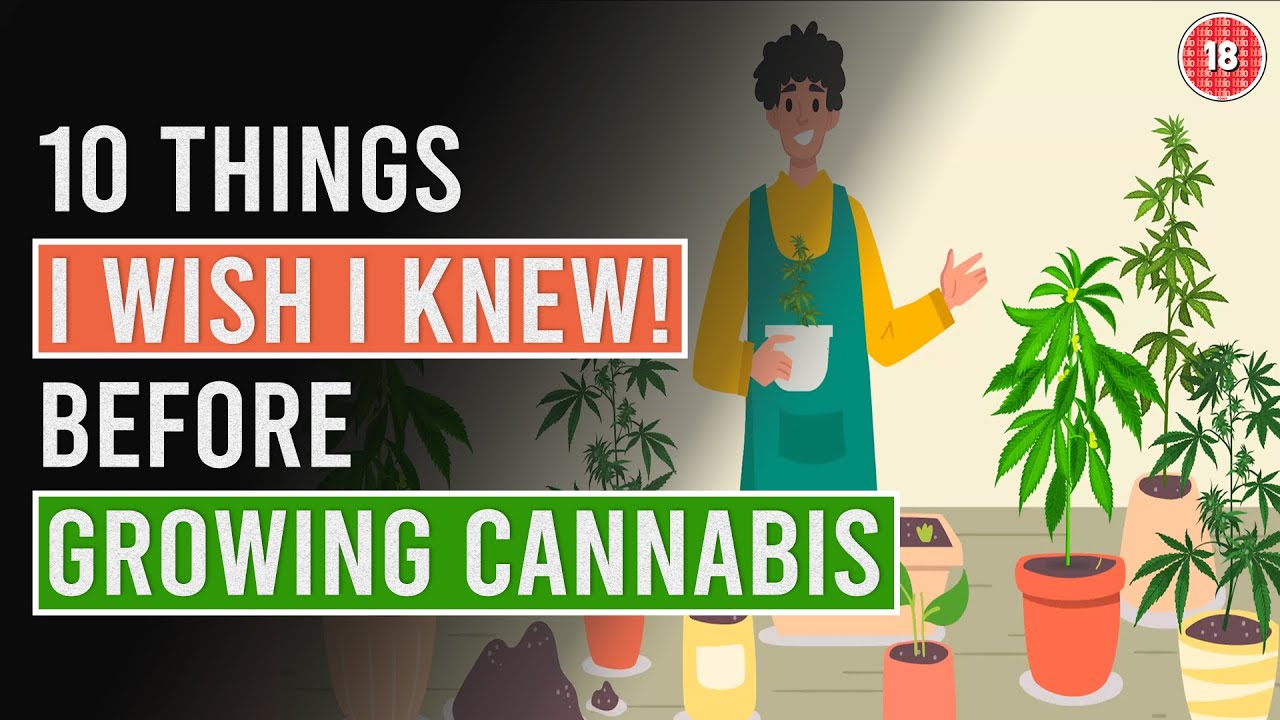 10 things I Wish I'd known before Growing Cannabis!