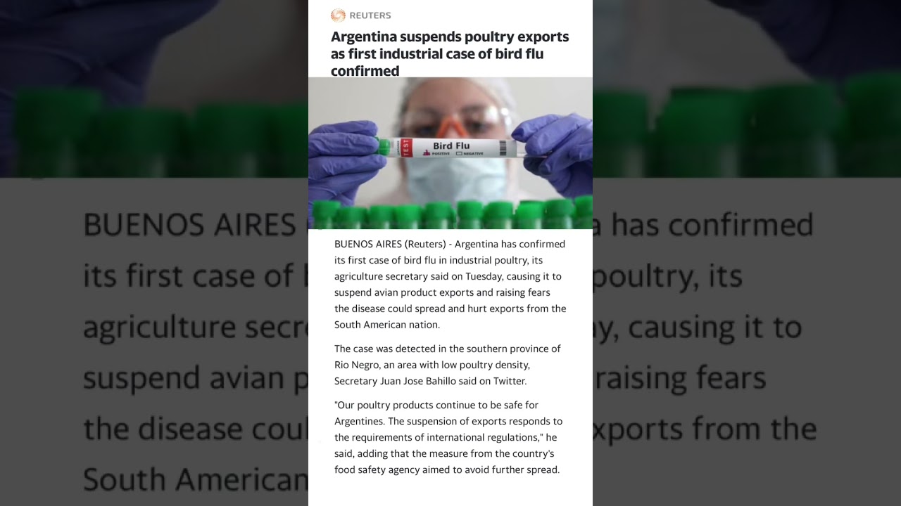 #news #birdflu #argentina #usa #shorts #health #wellness #psa