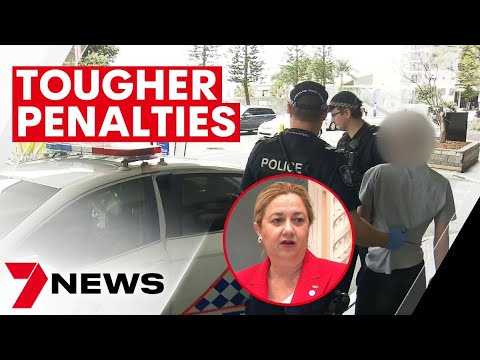 Youth crime reforms pass Queensland parliament| 7NEWS