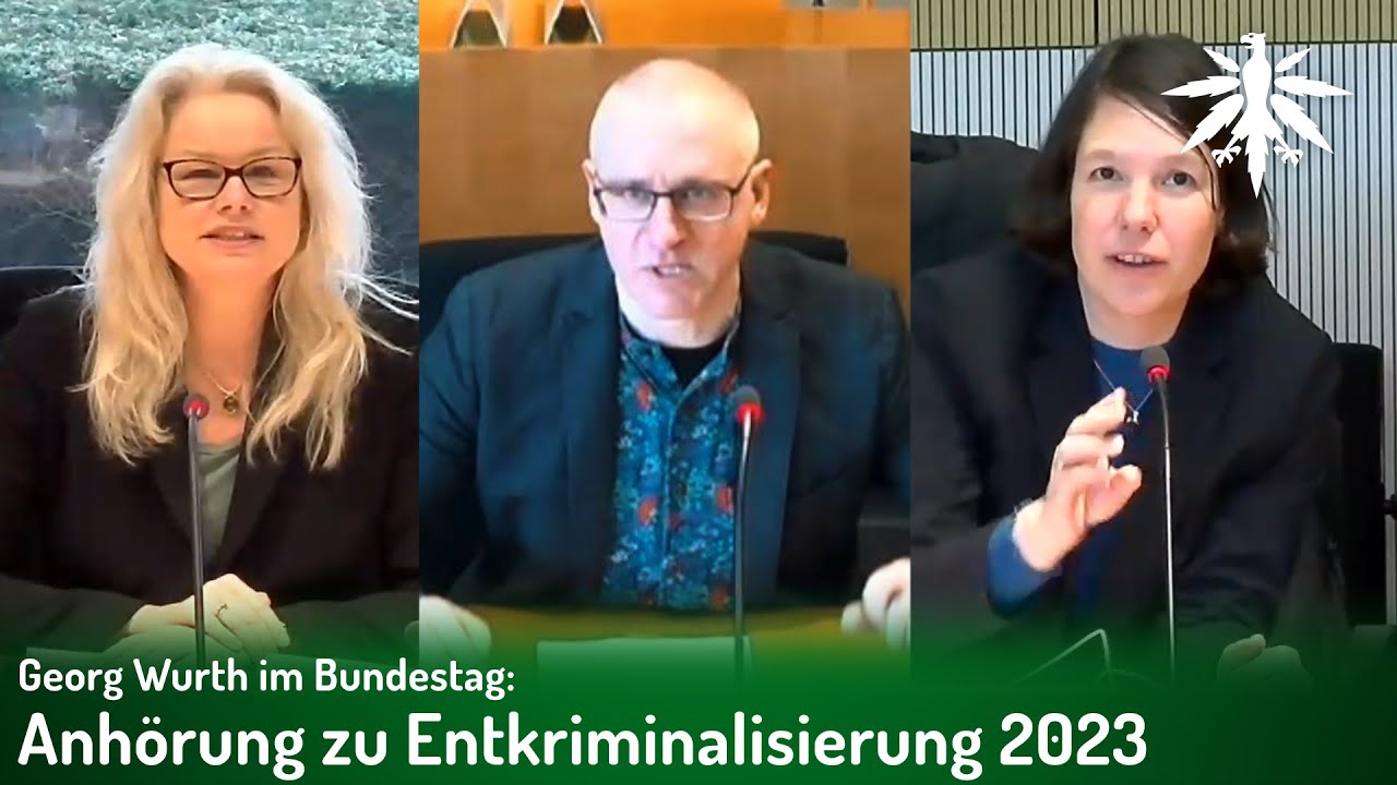 Georg Wurth im Bundestag: Anhörung zu Entkriminalisierung 2023