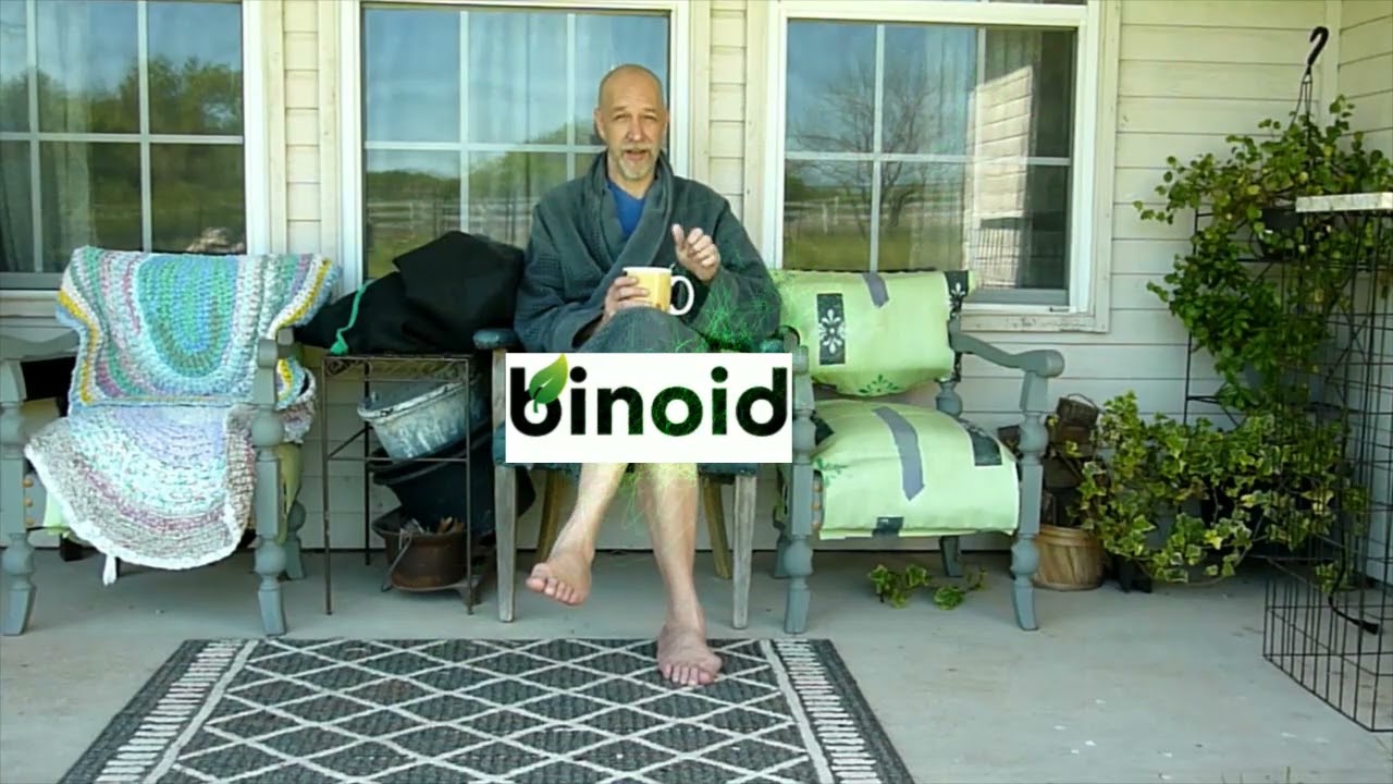 Binoid review