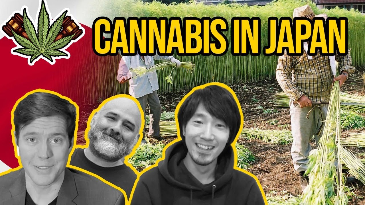 Cannabis in Japan | Is Cannabis Legal in Japan? | Marijuana in Japan | CBD in Japan