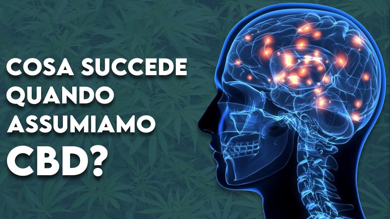 Cosa succede al nostro corpo quando assumiamo CBD?