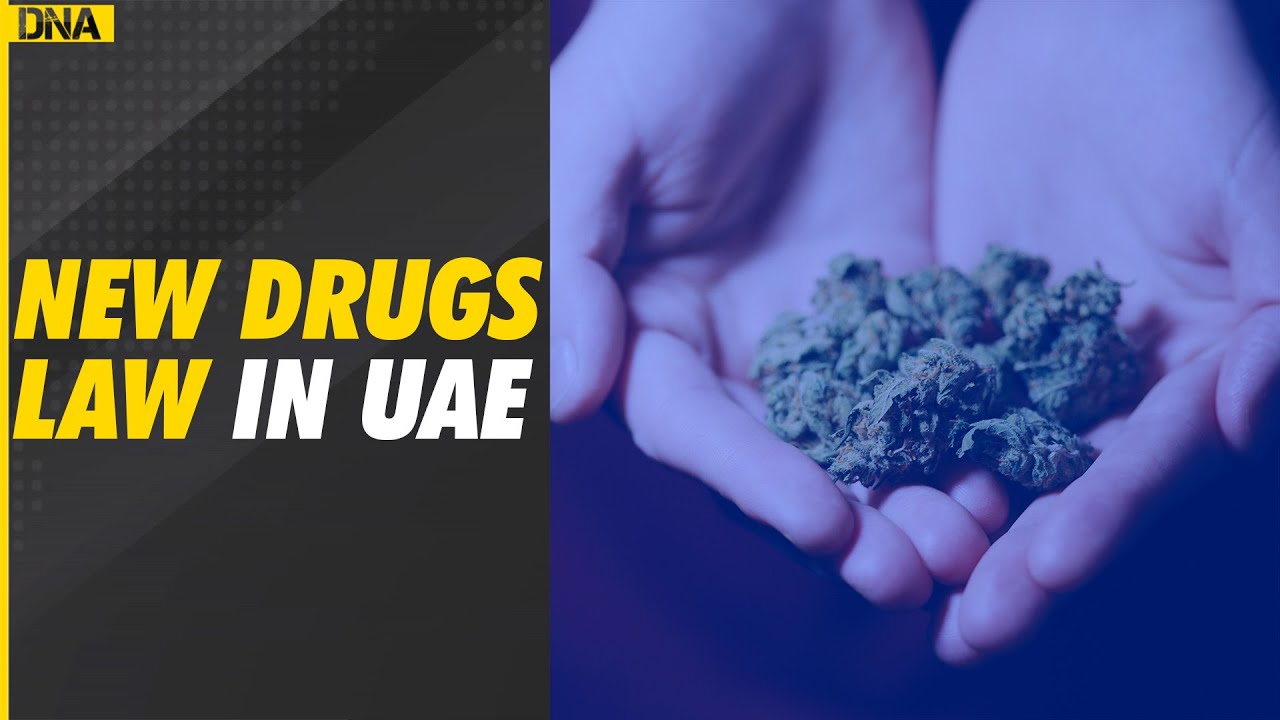 What happens if you carry drugs to UAE? | Cannabis | Dubai | International news | Latest News