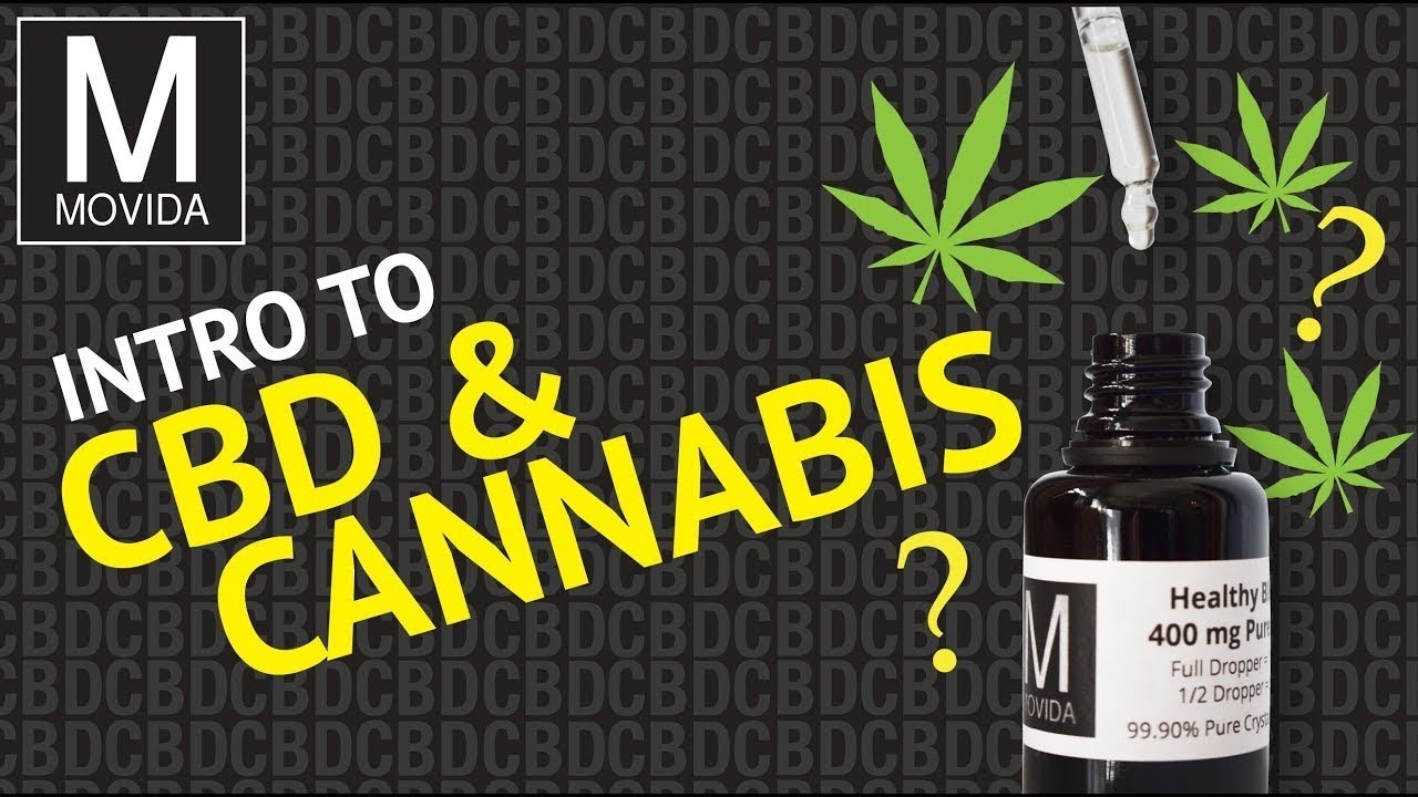 INTRODUCTION TO CBD AND CANNABIS | WHAT IS CBD? | WHAT IS CANNABIS?