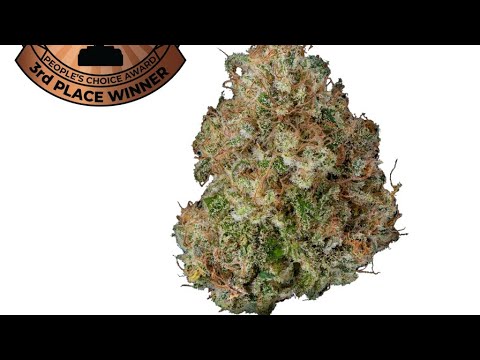 Review 211 of 🦍Gorilla🦍🌫Haze🌫 ORGANIC/HYDRO CBD HEMP FLOWER/HEMP FLOWER TEA from https://hemphop.co/