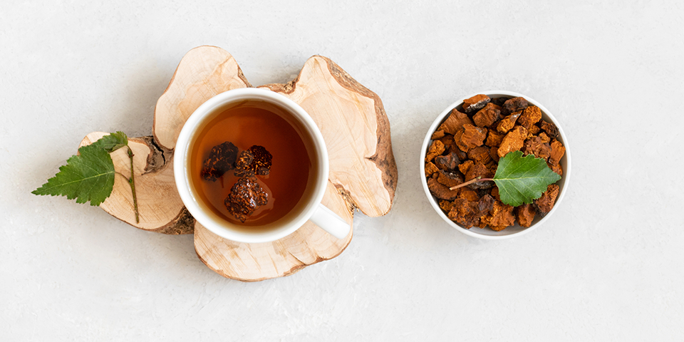 Everything You Need to Know About Mushroom Tea