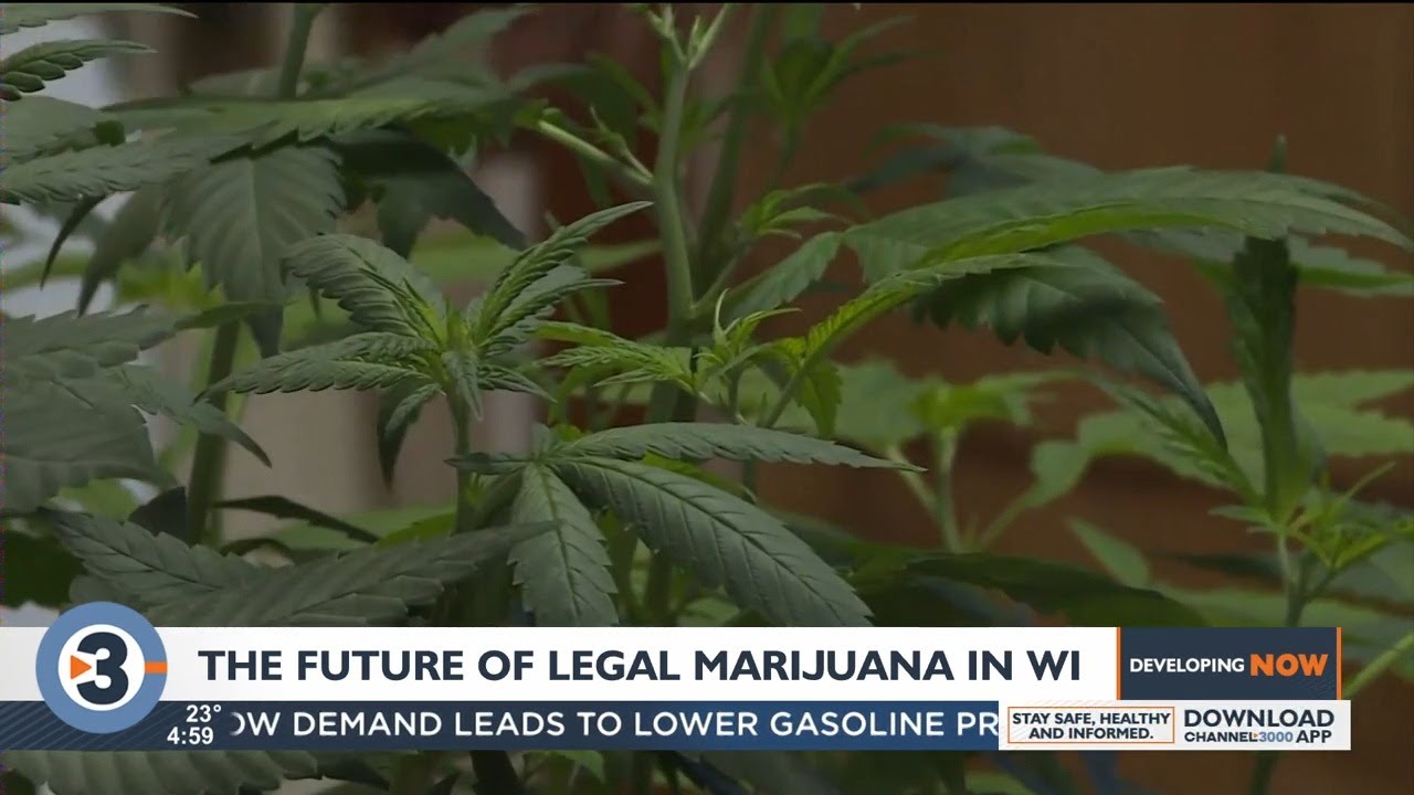 The future of legal marijuana in Wisconsin