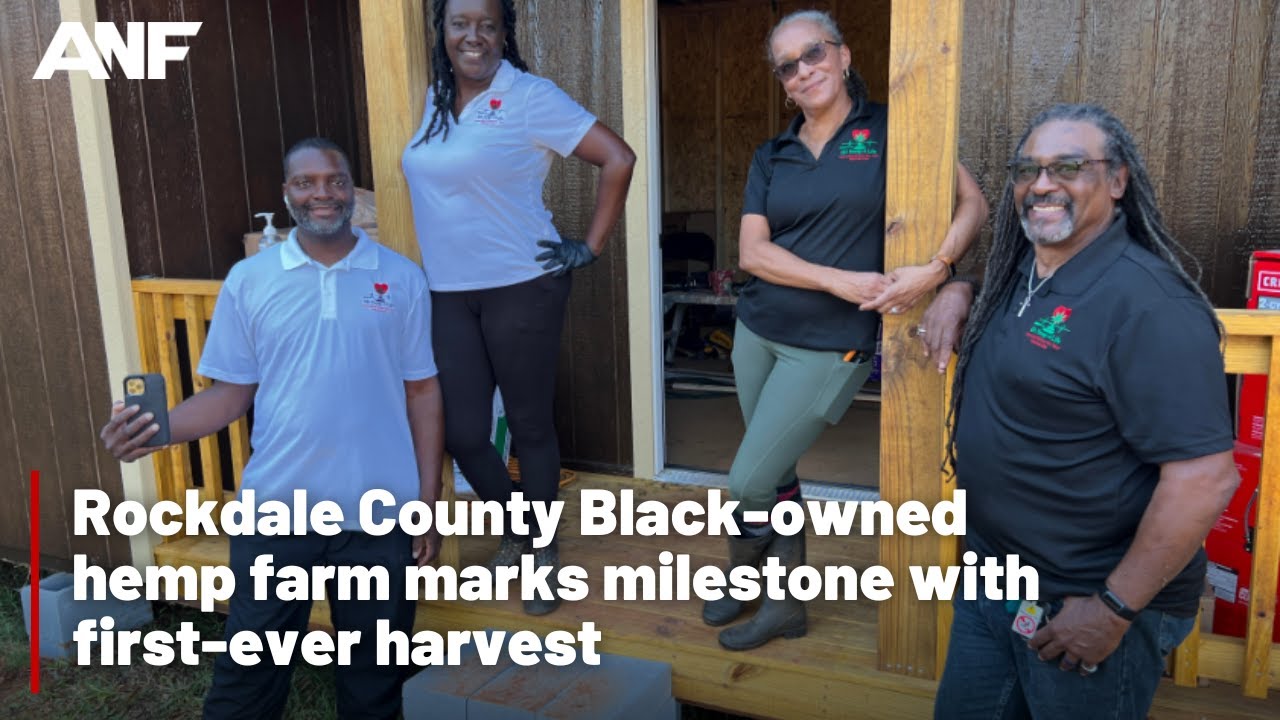 Rockdale County Black-owned hemp farm marks milestone with first-ever harvest